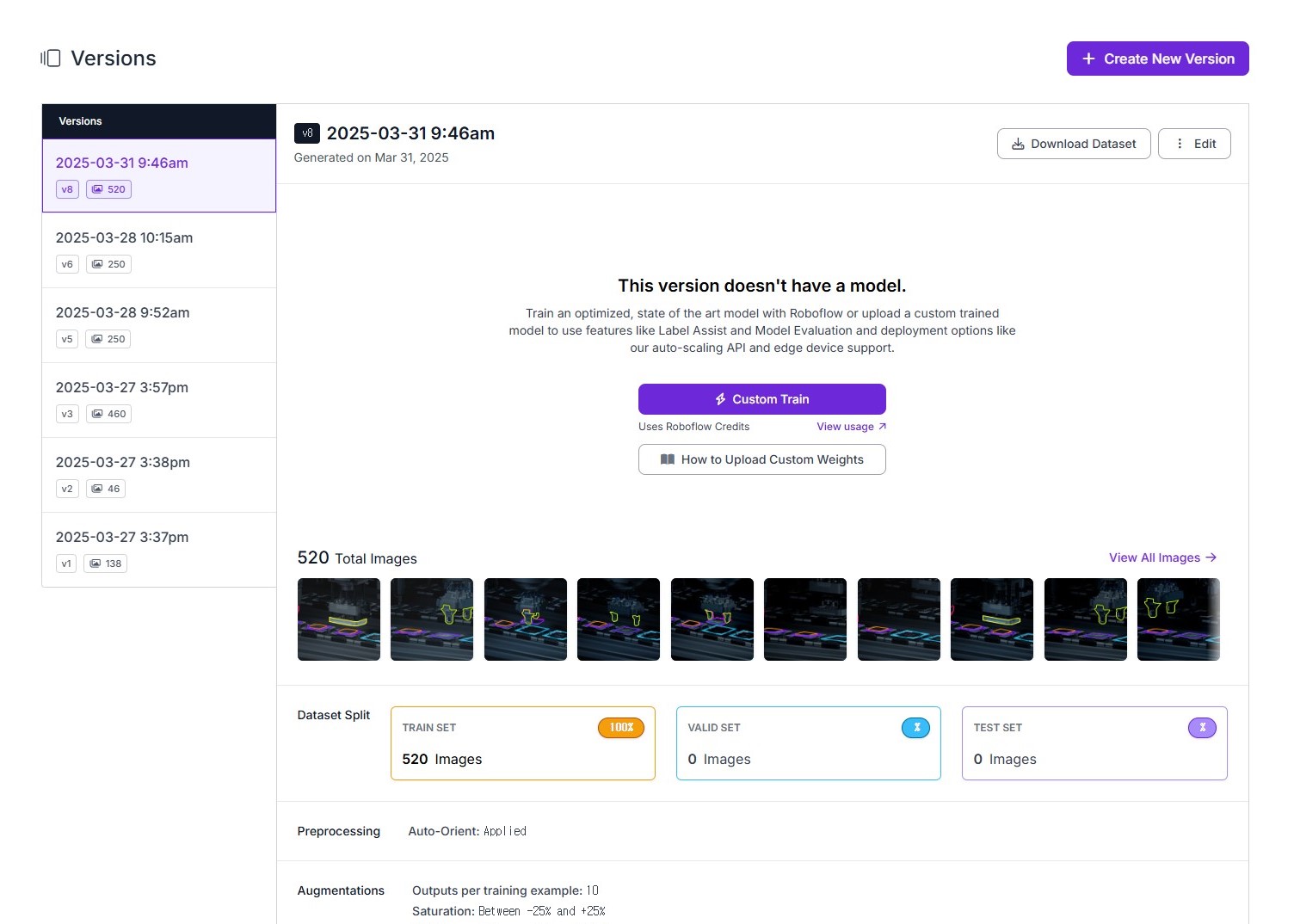Roboflow Segmentation_2
